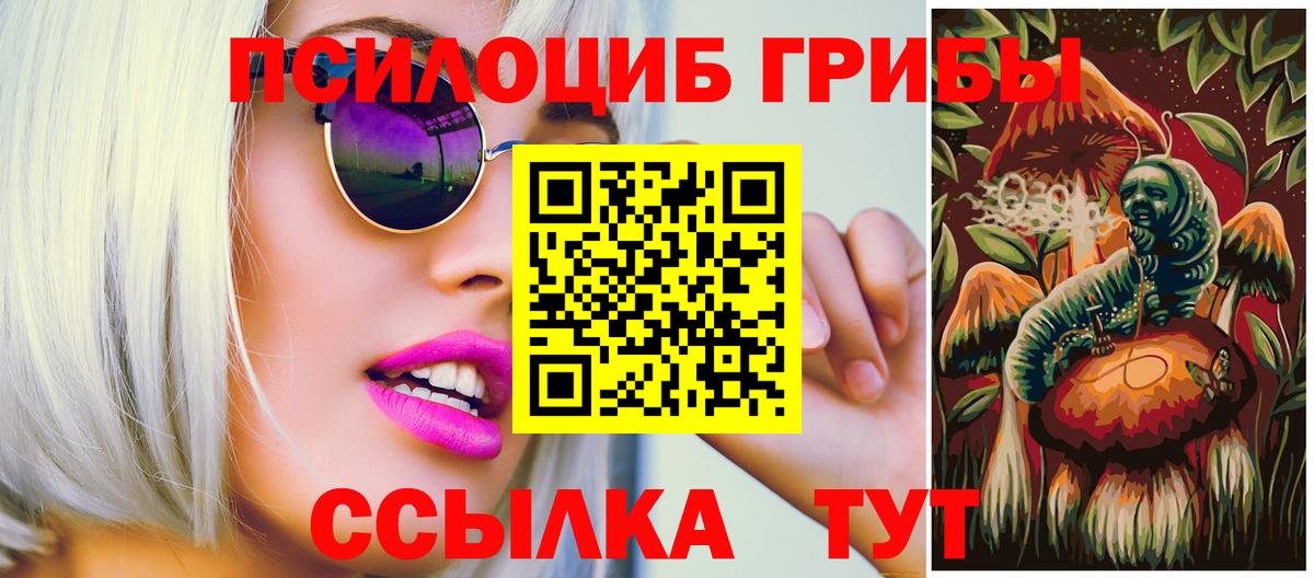 Псилоцибиновые грибы Psilocybine cubensis  Вход с VPN  Волжск 