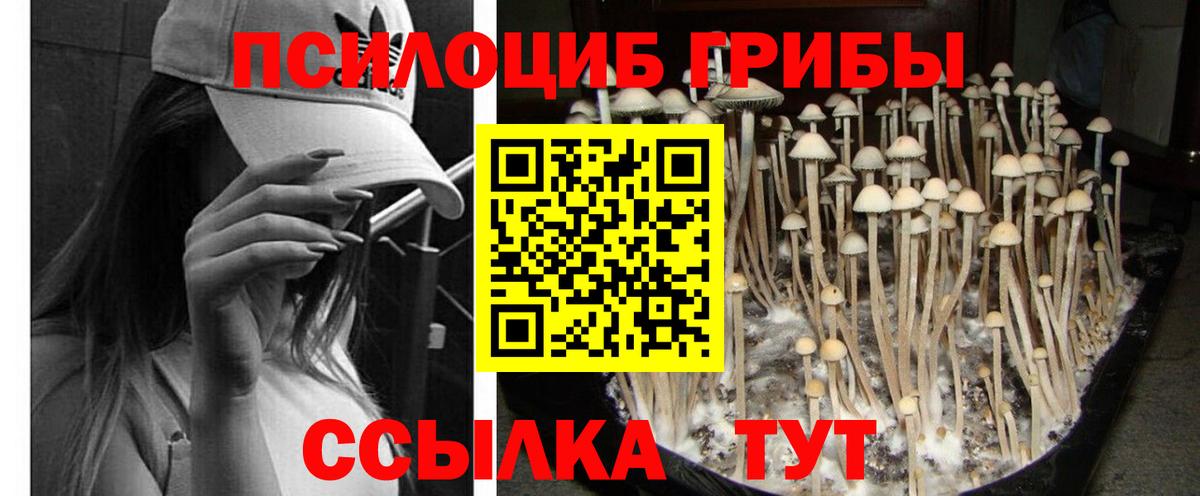 Псилоцибиновые грибы GOLDEN TEACHER Волжск
